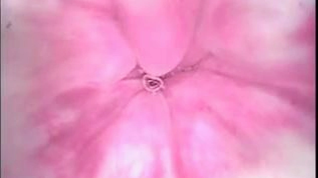 丽丽真实肛交硬核炮击体验