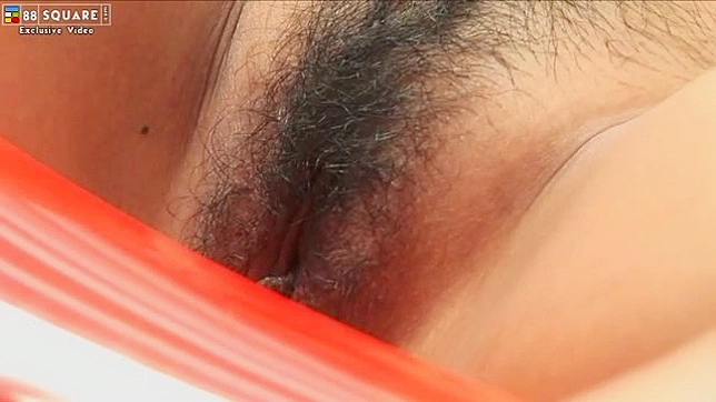 阿查拉拥有挺拔完美的乳房和多毛的阴户，她开始脱衣