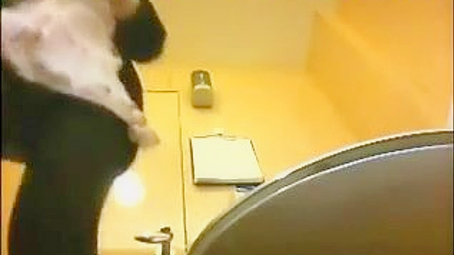 性感大屁股帅哥美女室内狂欢之夜