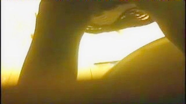 性感可爱的日本美女在厕所里做事