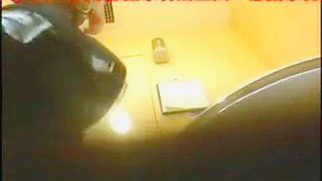 性感可爱的日本美女在厕所里做事