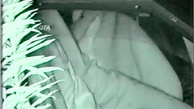 日本美女在户外公交车上做爱