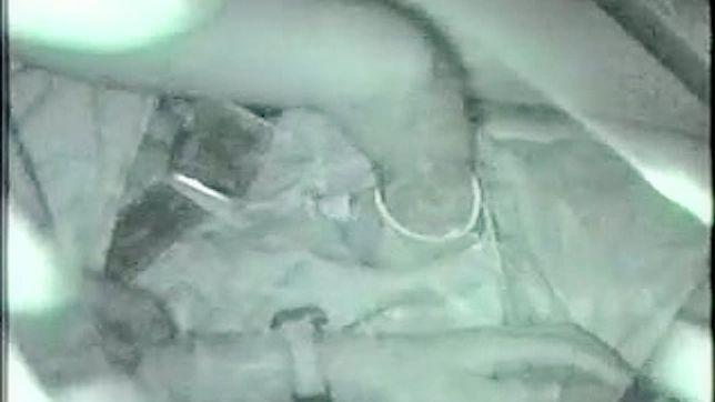 经验丰富的亚洲女子带来难以置信的手工体验。