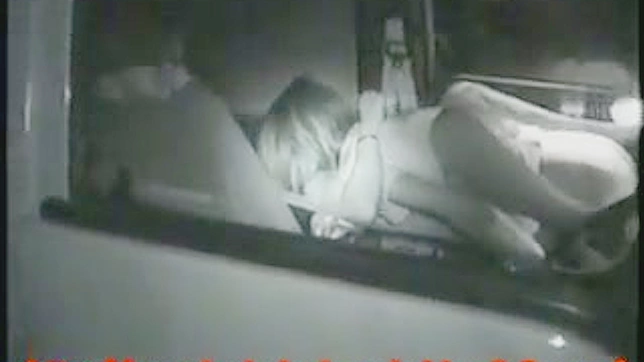 娴熟性感的亚洲小野猫在车里进行狂热性爱