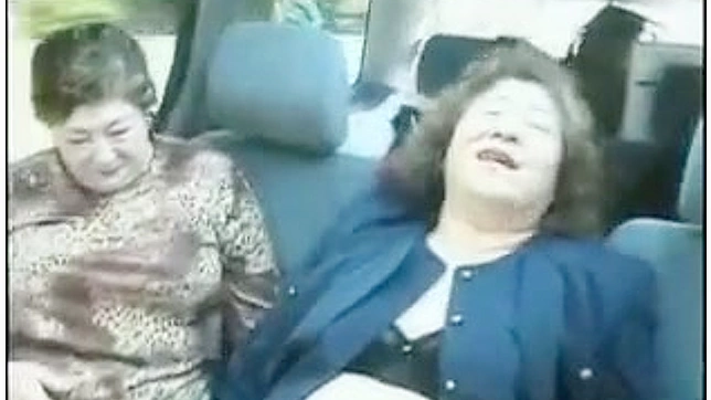 好色丰满的日本女士在自慰她们的小穴