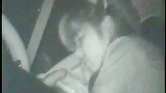 迷人的性感亚洲美女户外口交令人陶醉