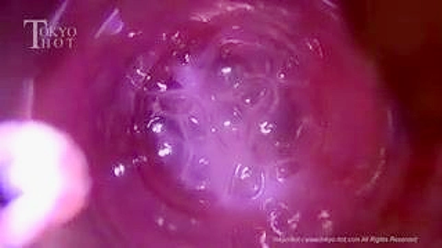 亚洲美女室内激情多人狂欢做爱荣耀时刻