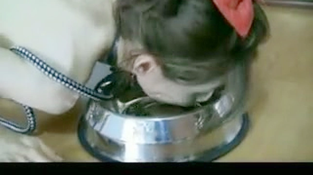 可爱迷人的日本少女准备进行束缚性爱体验。