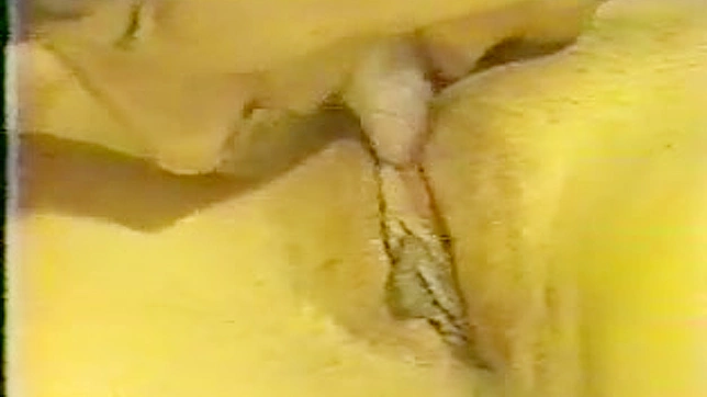 高端直爽的亚洲美女正在进行亲密的身体互动