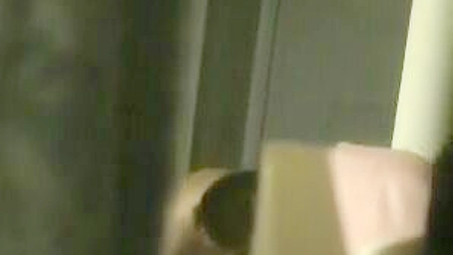 恶心的多毛女人正在厕所里做爱