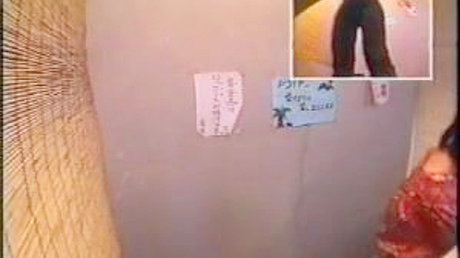 性感日本女郎展示她迷人的臀部