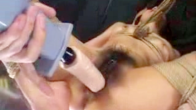 毛茸茸的日本女郎疯狂吸吮巨大震动棒