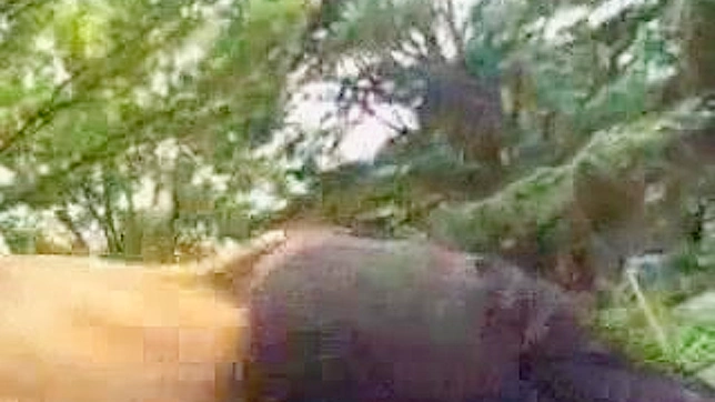 日本美女快乐地享受性爱时光