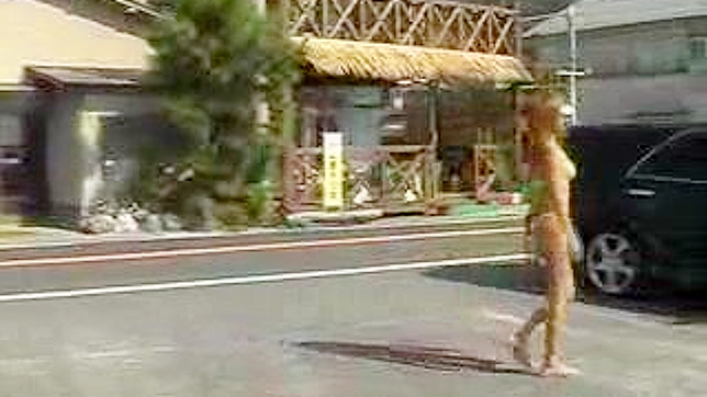 无耻的日本女人穿着内衣在户外做爱