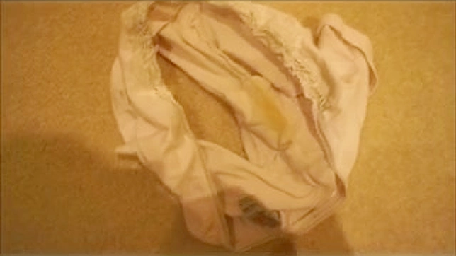 仔细翻看莉莉的内衣抽屉内容