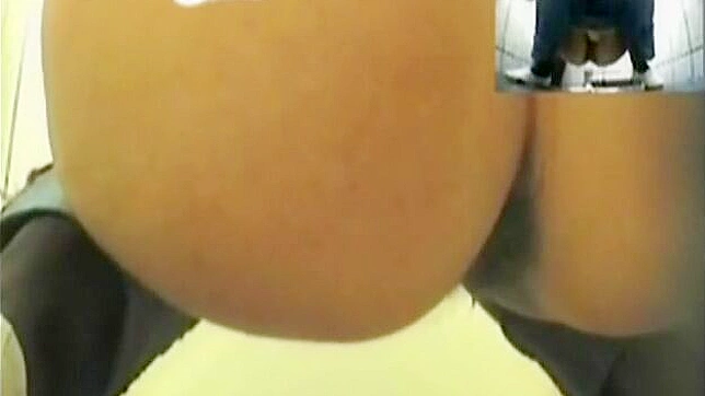 可爱的迷人女明星正在厕所里插入