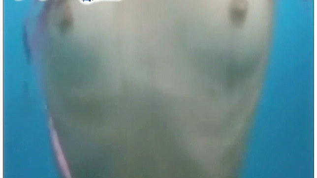 迷人的金发女孩展示她的天然胸部