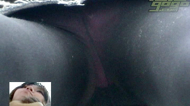 穿黑丝的性感可爱美女展示她的内裤