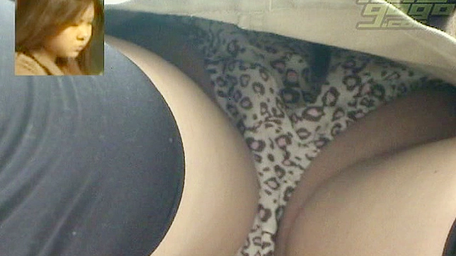 性感女士撩裙露内裤，诱惑无限