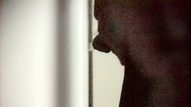 顺从的年轻亚洲同性恋者在厕所里享受爱抚