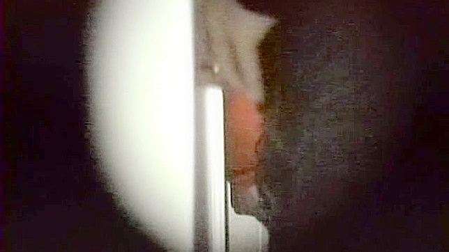 肮脏婊子被狠狠操至屈服，尖叫如猪般放肆