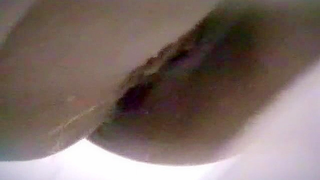 诱人可爱日本女孩在厕所里做爱