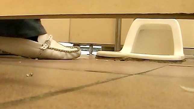 这个疯狂而无耻的日本娃娃正在厕所里干着什么。