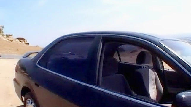 拥有圆润臀部的美女正在户外进行肛交