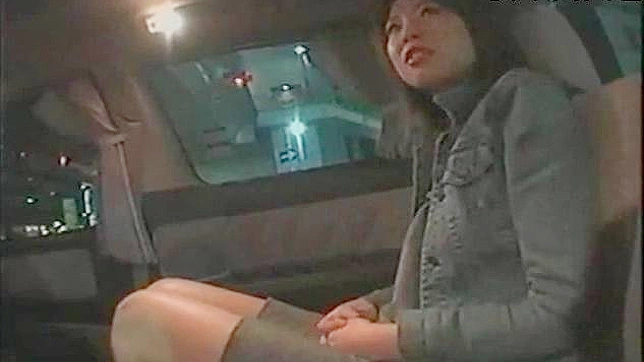 性感亚洲美女享受被阴道深入的快感
