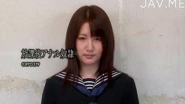 毛茸茸的泰莉在被激烈撞击中享受美妙时光。