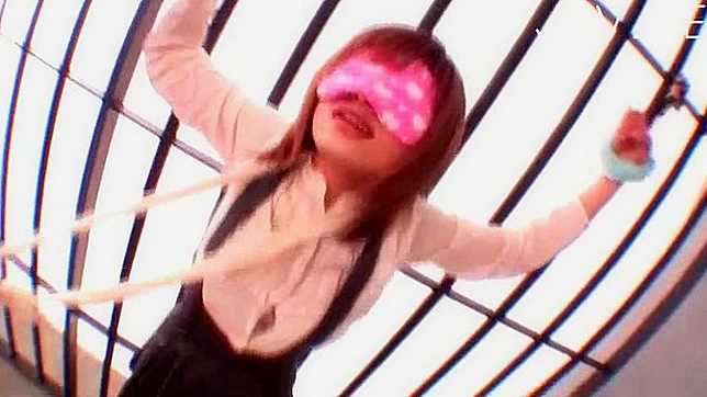 日本甜心接受狂野的性爱欢愉