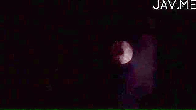 男人舔着丰满护士湿润的阴唇