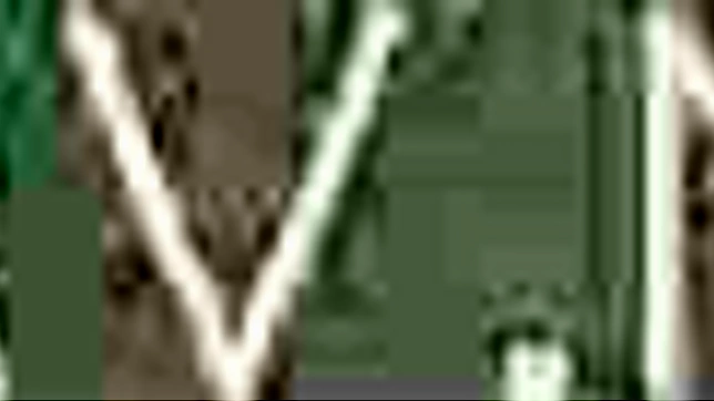 大胸亚洲美人热情口交诱人魅力