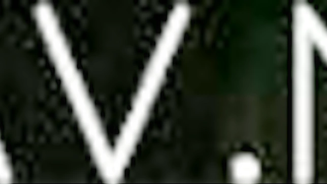 与迷人亚洲美女的狂野爱恋体验