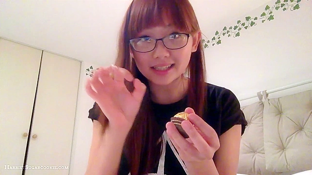 哈丽特·糖饼干的博客视频