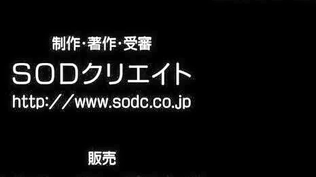 日本娃娃与按摩师进行深度狂欢的美丽场景