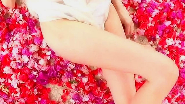 迷人亚洲宝贝的狂野硬核需求