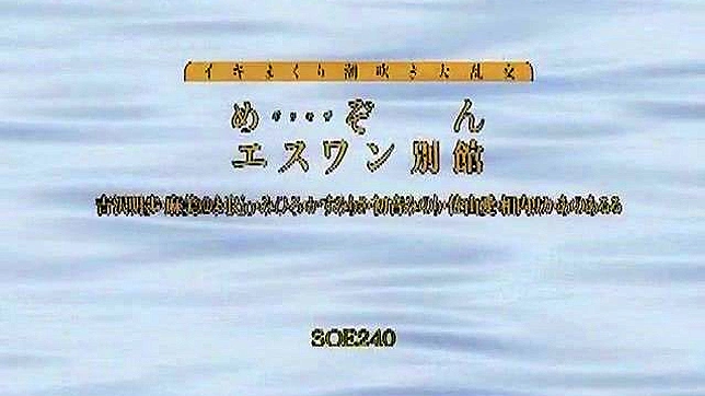 迷人亚洲甜心带来的刺激乳交体验
