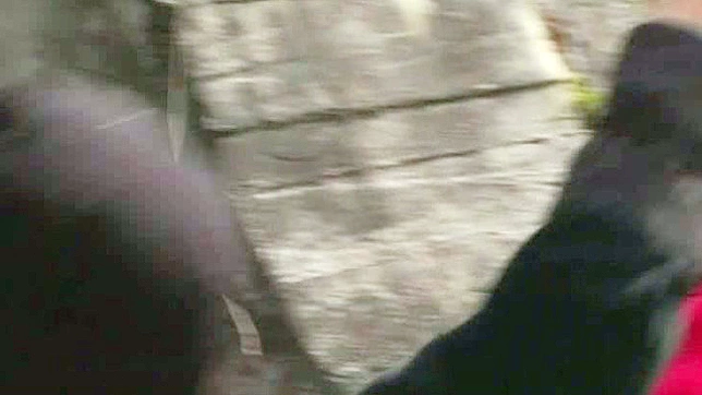 三个忍者的性爱视频2