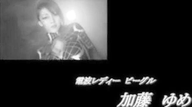 安藤浩三 铃木丽子