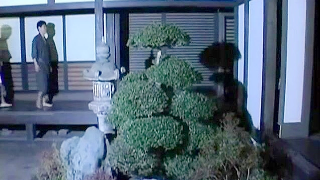 Sho和他的姬妾真实故事视频十六集