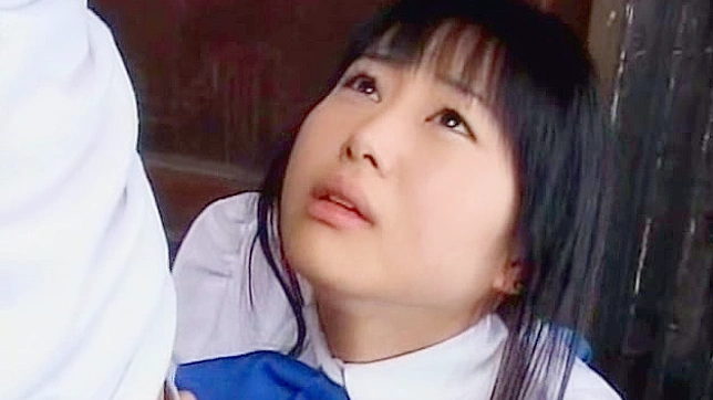 信念守护骑士视频二十四集