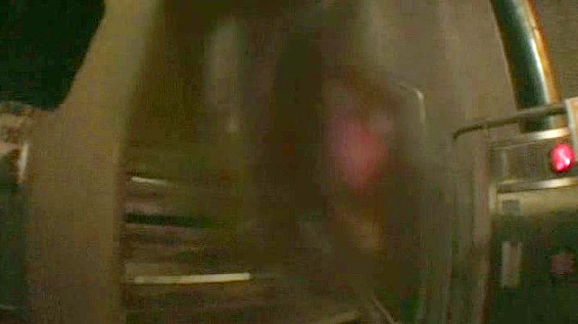 极度曝光视频十七集