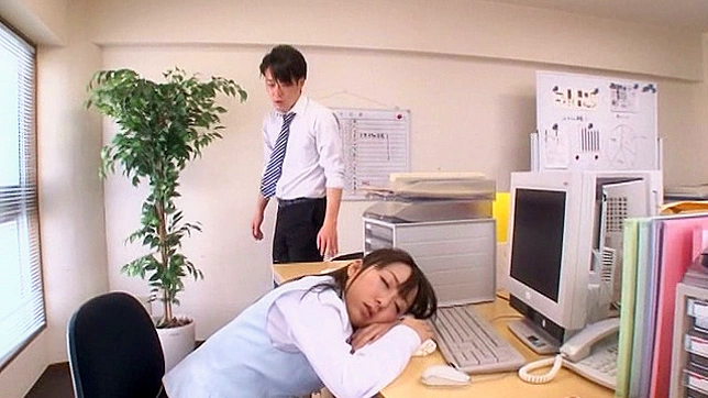 小野猫的诱人视频十部集锦