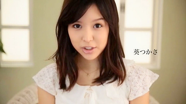 爱丽丝日本30周年纪念视频第2部