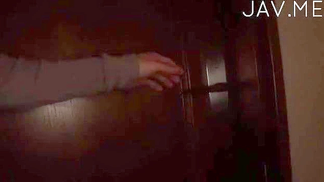 性感业余女郎被好好地操了