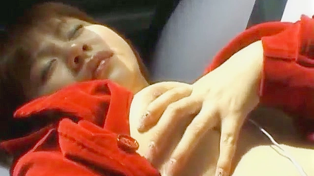 Marin 在车内用震动器刺激视频片段2