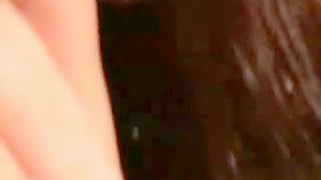 新手多毛阴部性爱视频4