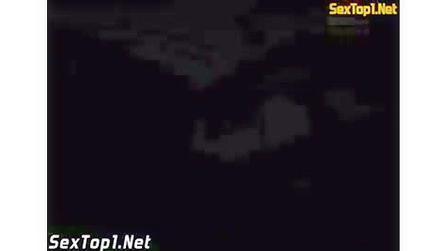 Viet字幕下吸吮巨大美乳美味的Ayu Sakurai.MP4