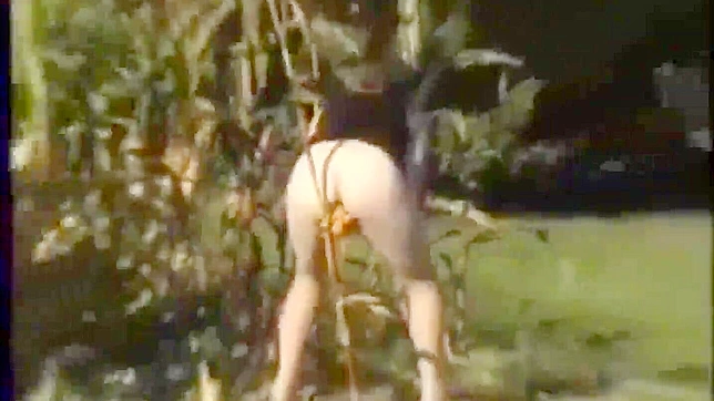 丰满农夫的日本妻子在玉米地里自慰。JAV 户外偷拍